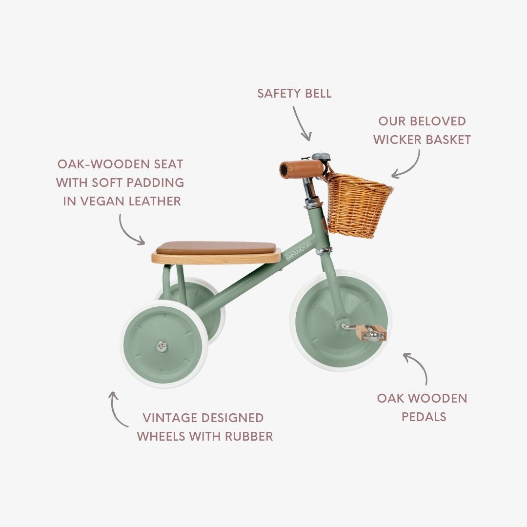 Tricycle vintage - Forest