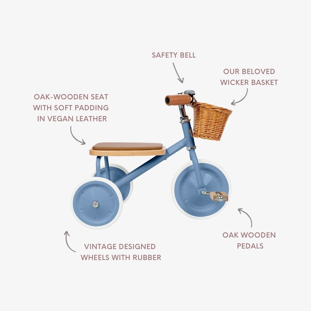 Tricycle vintage - Blue