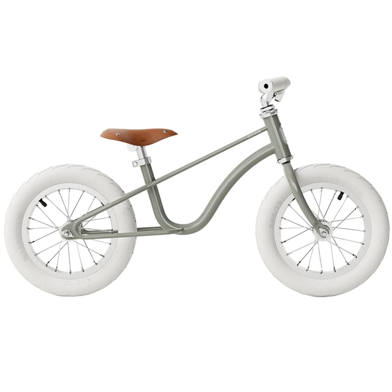 Bicicleta Icon - Sage